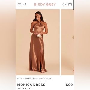 Birdy Grey Small Monica Rust Satin Bridesmaids Dress (NEVER WORN)